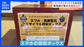「ゴリラのため」動物園がスマホを集める理由とは|TBS NEWS DIG 「ゴリラのため」動物園がスマホを集める理由とは|TBS NEWS DIG