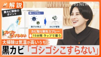 【大掃除】黒カビは「ゴシゴシこすらない」 油汚れは「ドライヤー」のひと手間 カインズで買えるプロ仕様洗剤も紹介【Nスタ解説】|TBS NEWS DIG 【大掃除】黒カビは「ゴシゴシこすらない」 油汚れは「ドライヤー」のひと手間 カインズで買えるプロ仕様洗剤も紹介【Nスタ解説】|TBS NEWS DIG