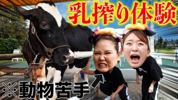 【マザー牧場】乳搾りで気まずさ感じながら命へ感謝するアラサー独身女 【マザー牧場】乳搾りで気まずさ感じながら命へ感謝するアラサー独身女