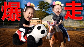 貴族に負けたくないアラサー独身女の休日 貴族に負けたくないアラサー独身女の休日