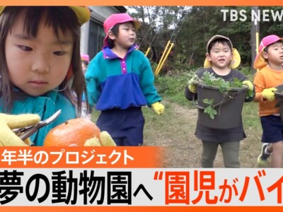 離島の保育園児 はじめての観覧車&動物園に大興奮「遊園地っ!遊園地っ!」お金はみんなの“アルバイト代”で【ゲキ推しさん】|TBS NEWS DIG 離島の保育園児 はじめての観覧車&動物園に大興奮「遊園地っ!遊園地っ!」お金はみんなの“アルバイト代”で【ゲキ推しさん】|TBS NEWS DIG